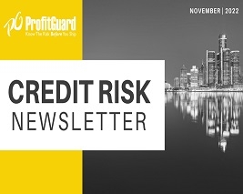 credit risk newsletter
